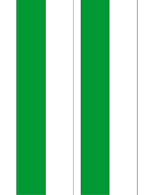 Nationalband - Grün/Weiß